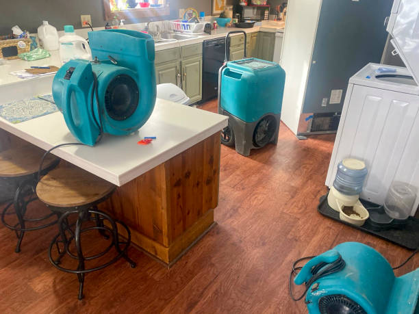 Best Mold removal after water damage  in Strathmore, CA