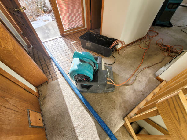  Strathmore, CA Water damage restoration Pros