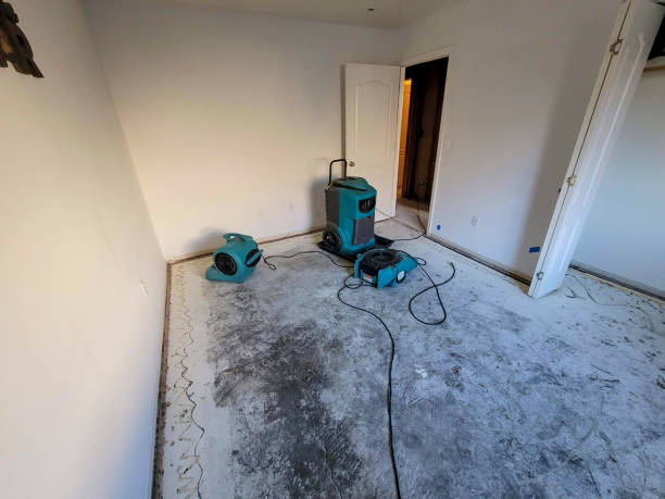 Best Sewage cleanup and water damage restoration  in Strathmore, CA