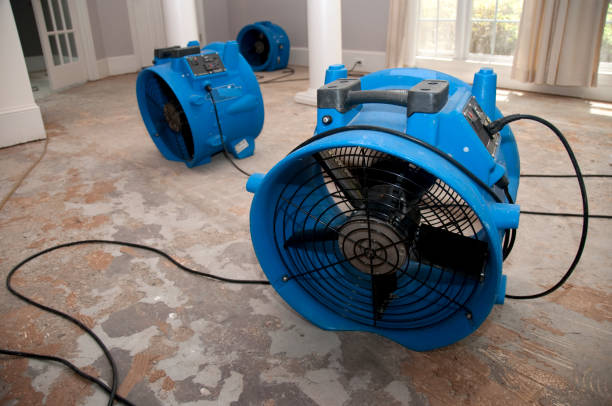 Best Flooded house restoration  in Strathmore, CA