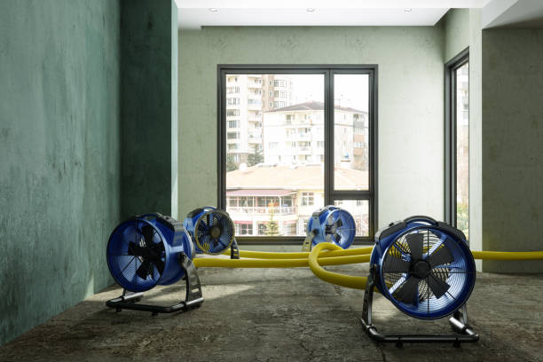 Best Water damage contractors near me  in Strathmore, CA